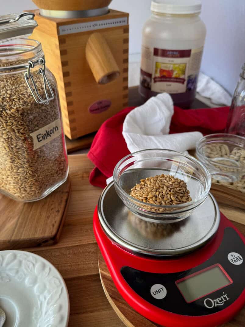 New Einkorn Sourdough Starter new einkorn sourdough starter - whole wheat