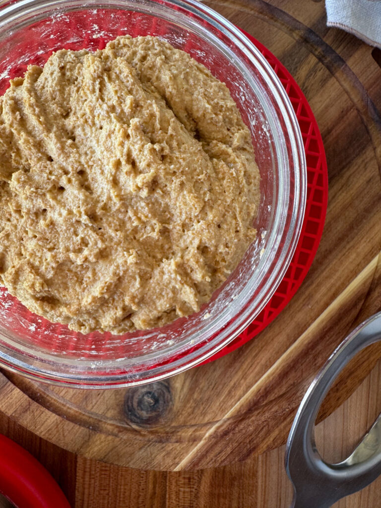 Einkorn Starter einkorn starter