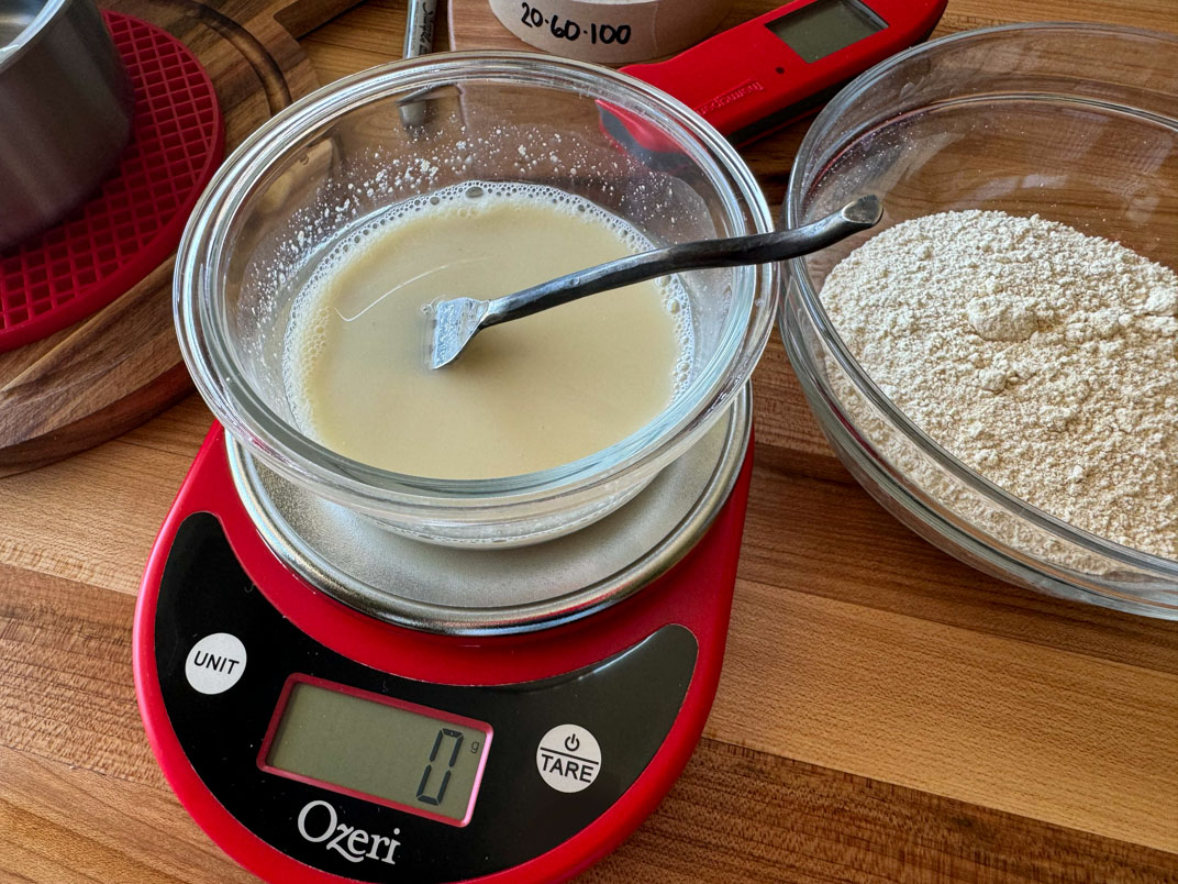 sourdough starter mixed with water and whole wheat einkorn flour