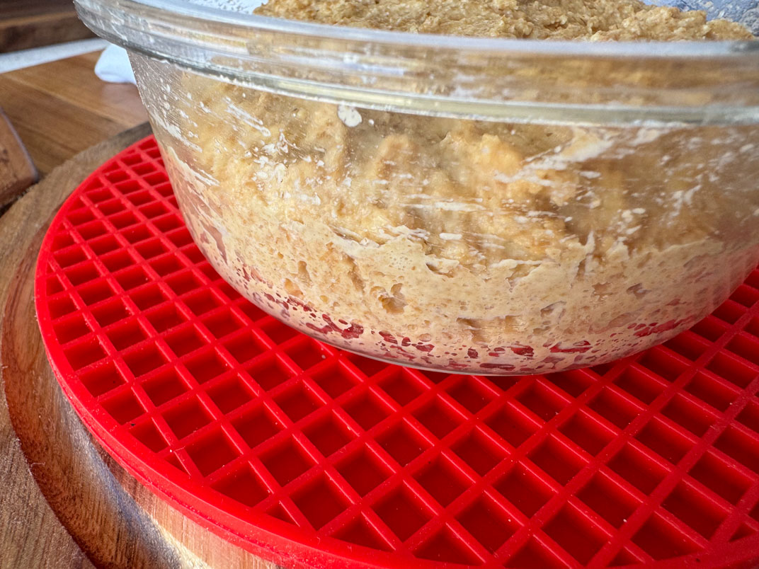 whole wheat einkorn sourdough starter