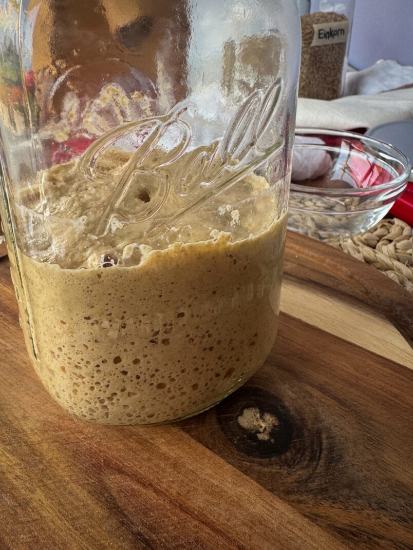the new einkorn sourdough starter