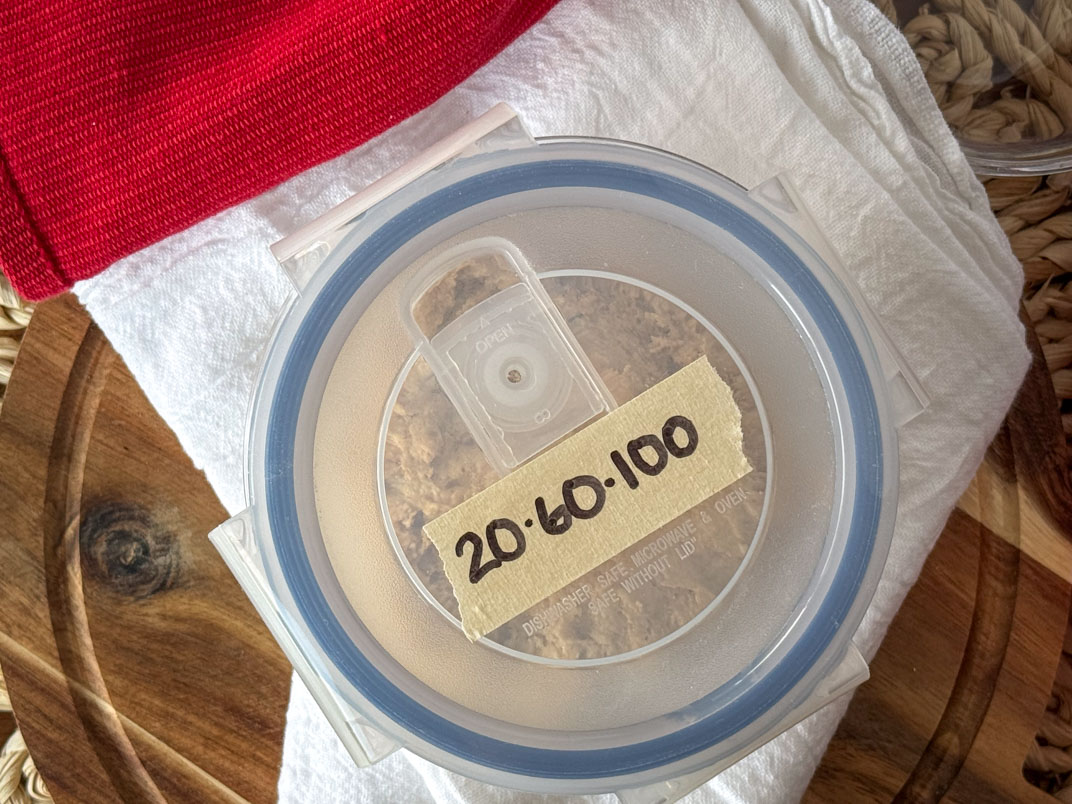 20-60-100 sourdough starter
