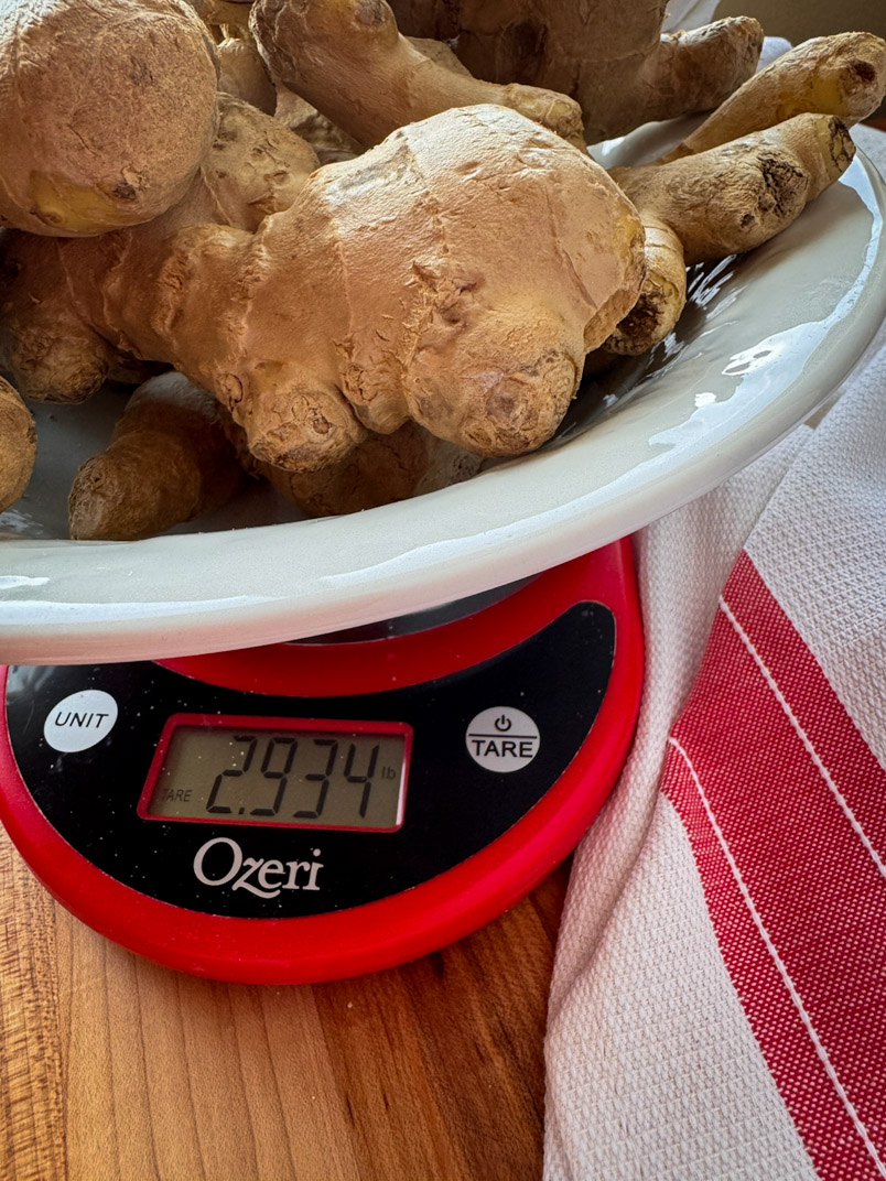 unpeeled fermented ginger