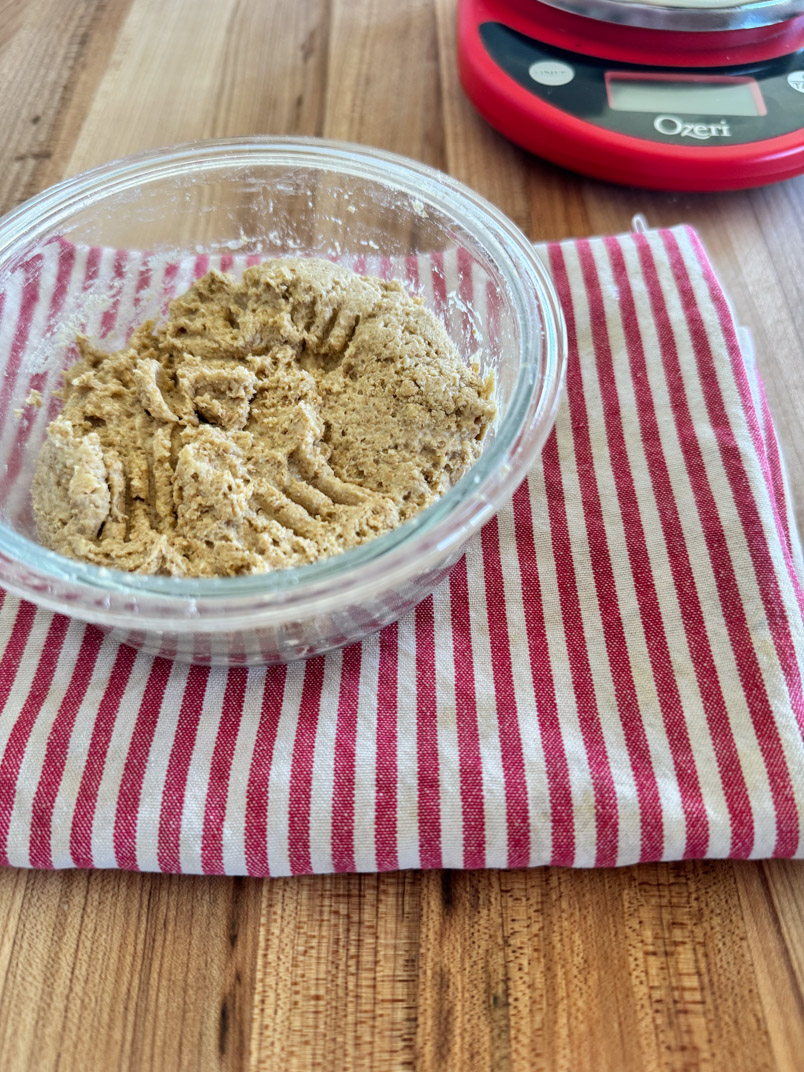 mixed einkorn starter