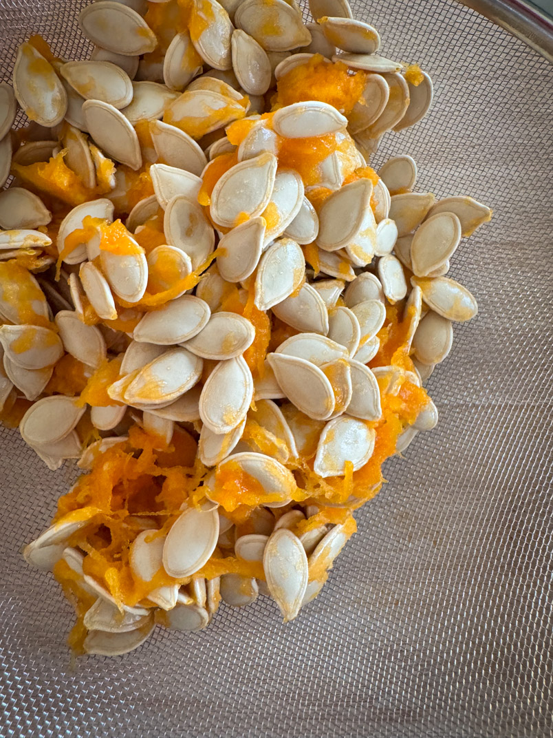 clean pumpkin seeds