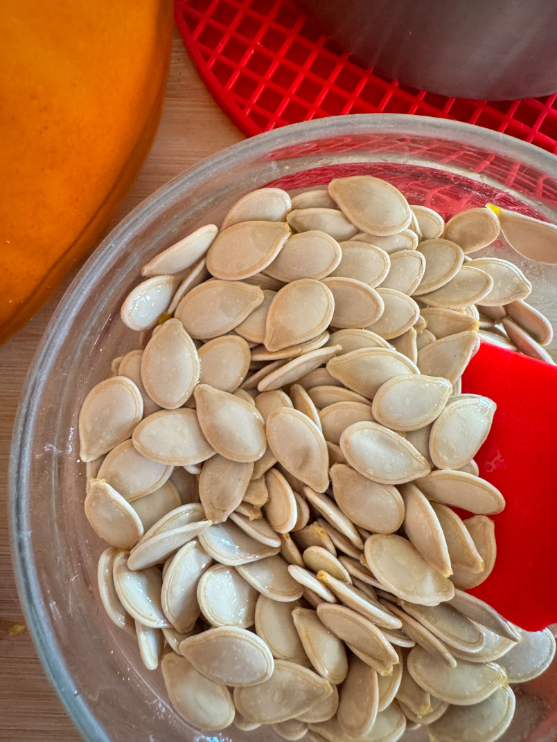 raw pumpkin seeds for roasting