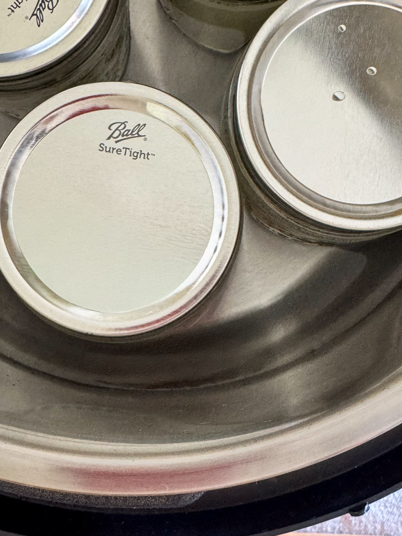 mason jars with yogurt in instant pot