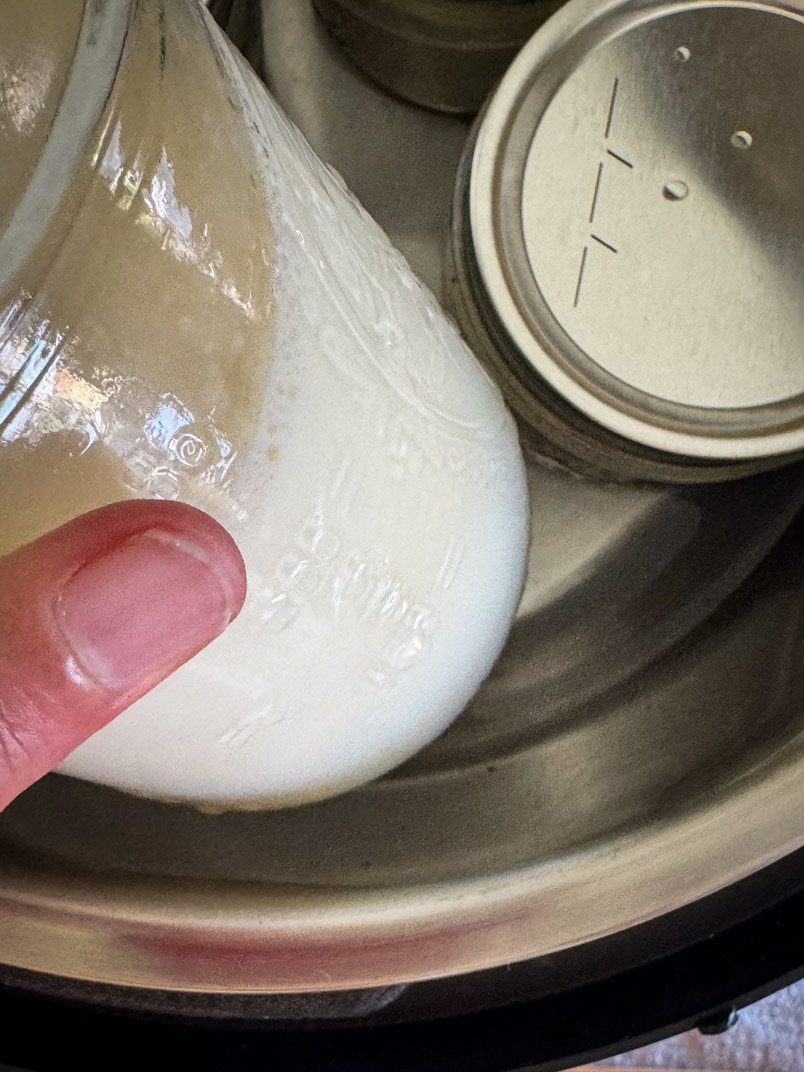 milk in mason jars for probiotic filled yogurt