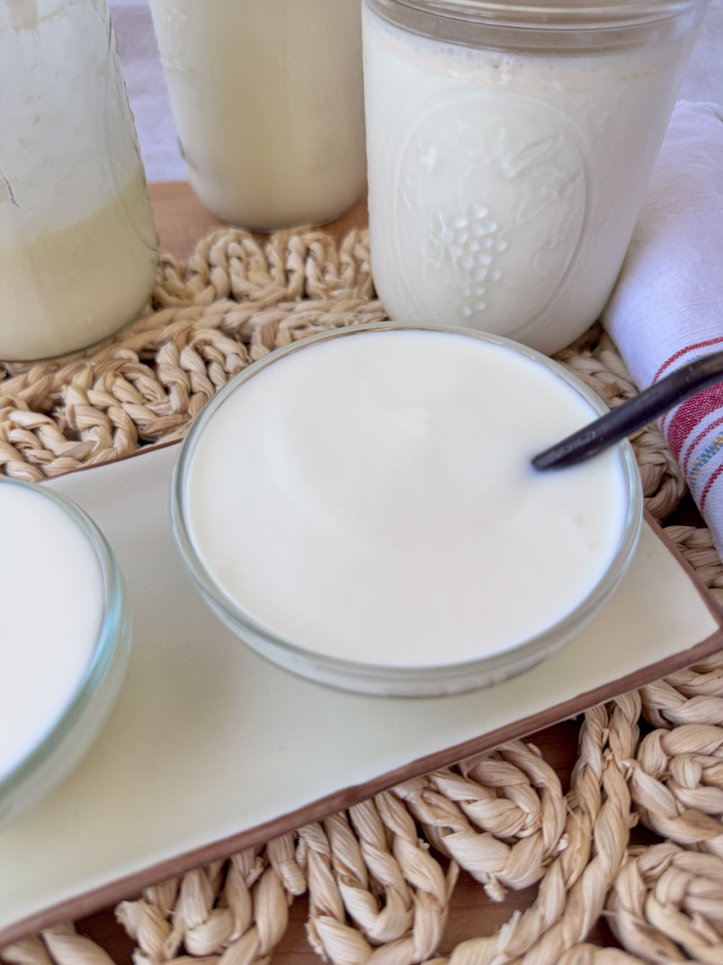 nutrient rich plain yogurt with probiotics